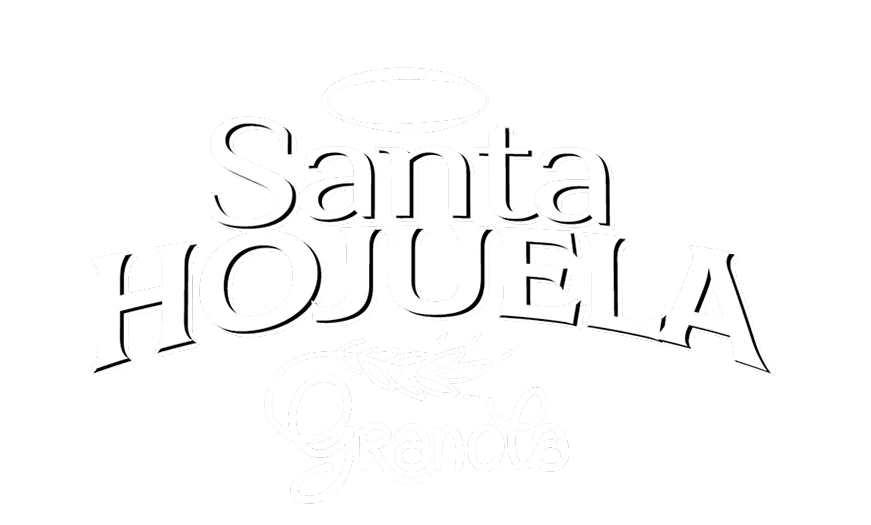 Identidad de la colección TeranBrand 01