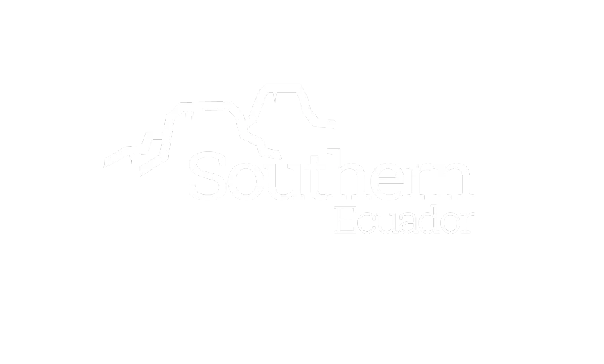 Identidad de la colección TeranBrand 13