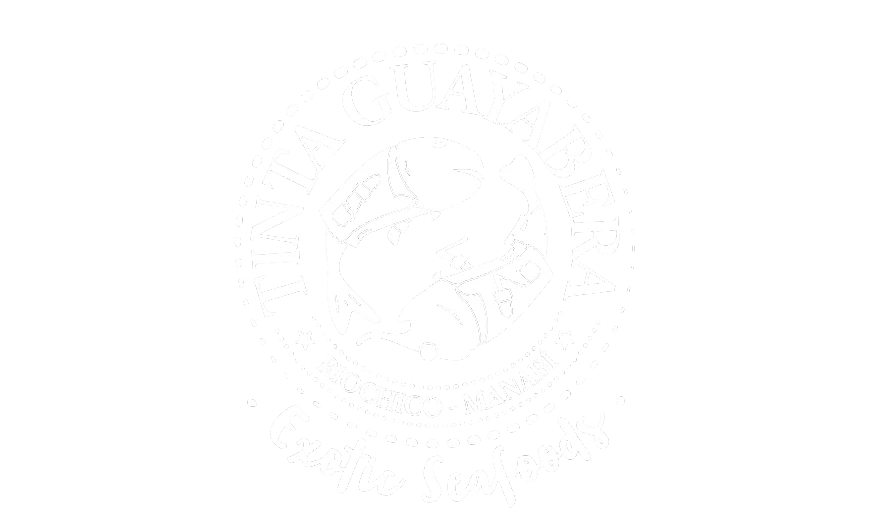 Identidad de la colección TeranBrand 29