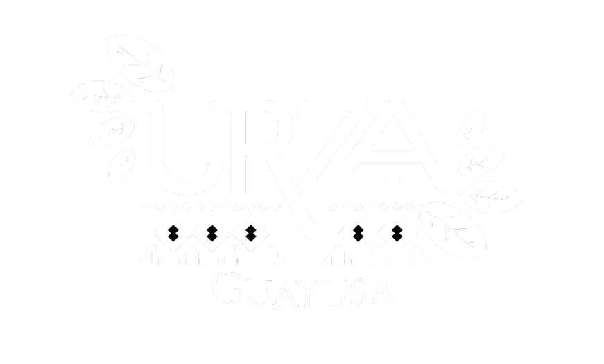 Identidad de la colección TeranBrand 31