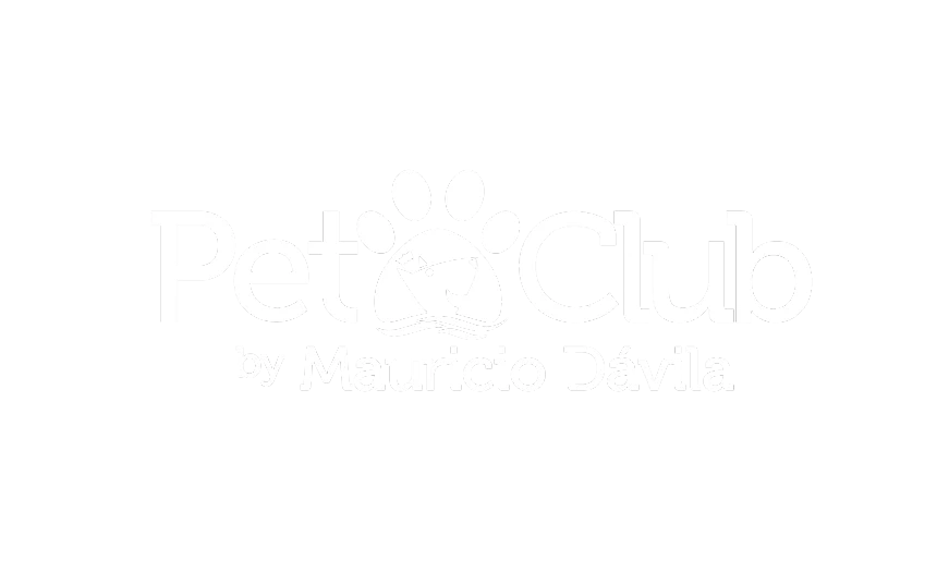 Identidad de la colección TeranBrand 34